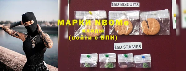 ГАЛЛЮЦИНОГЕННЫЕ ГРИБЫ Липки