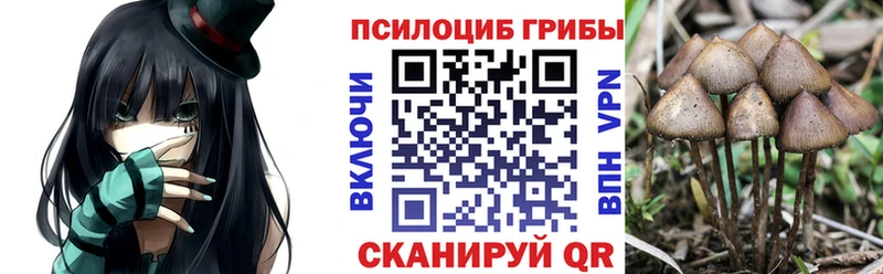 Псилоцибиновые грибы Cubensis  Купить закладки  Кострома 